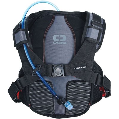 Bild von ALLIGATOR BACKPACK