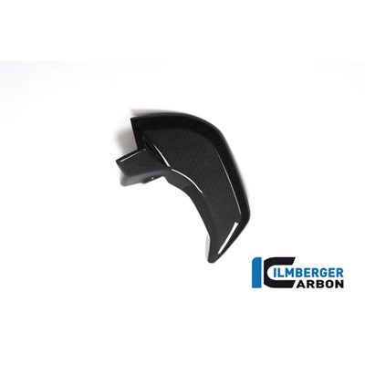 Bild von Abdeckung neben Cockpit rechts glanz