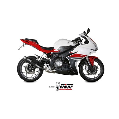 Bild von Auspuff GP pro Carbon