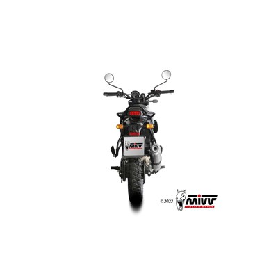 Bild von Auspuff Oval Inox