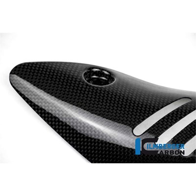 Bild von Auspuffhitzeschutz am Krümmer glanz