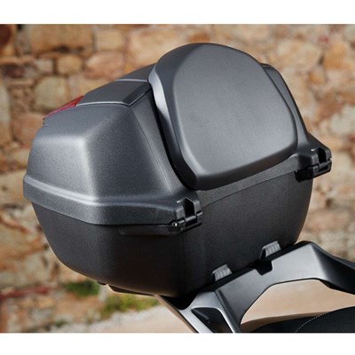 Bild von BACKREST FOR 39L TOP CASE