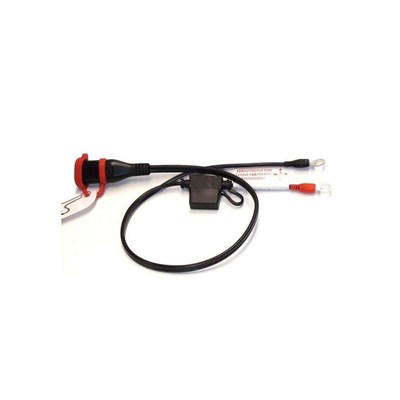 Bild von Batteriekabel SAE