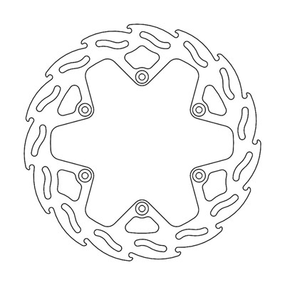 Bild von Bremsscheibe Flame