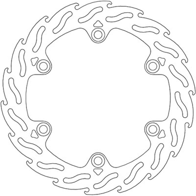 Bild von Bremsscheiben Flame Scooter