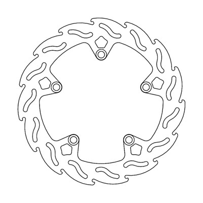 Bild von Bremsscheiben Flame Scooter