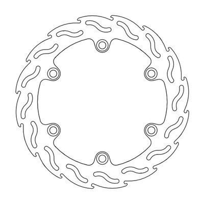 Bild von Bremsscheiben Flame hinten