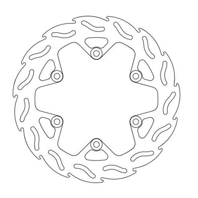 Bild von Bremsscheiben Flame hinten