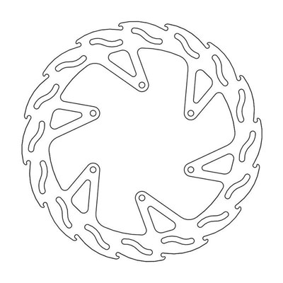 Bild von Bremsscheiben Flame hinten