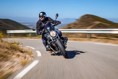 Bild von Drosselklappen-Schutz