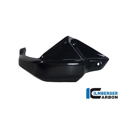 Bild von Handprotektor rechts