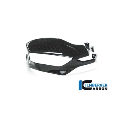 Bild von Handprotektor rechts glanz