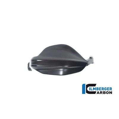 Bild von Handprotektor rechts matt