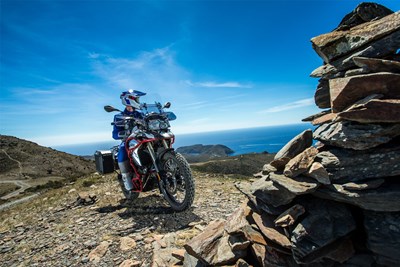 Bild von Handprotektoren