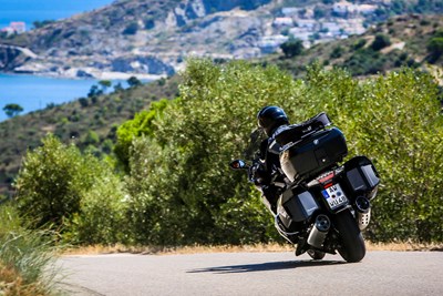 Bild von Handprotektoren