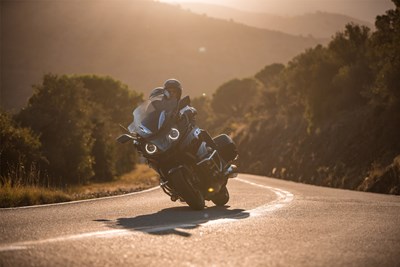 Bild von Handprotektoren