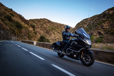 Bild von Handprotektoren