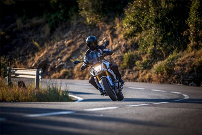 Bild von Handprotektoren