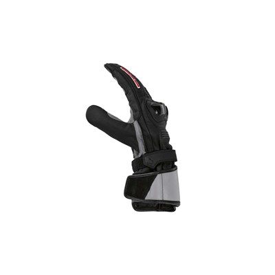 Bild von Handschuhe Pro Race