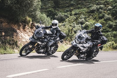 Bild von Hupenprotektor