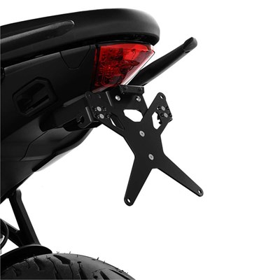 Bild von Kennzeichenhalter-XL Triumph