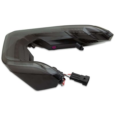 Bild von LED-Rücklicht Ducati