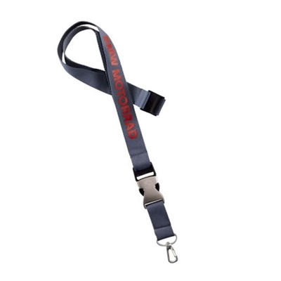Bild von Lanyard GS