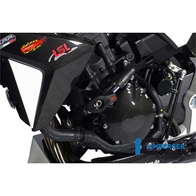 Bild von Lichtmaschinenabdeckung