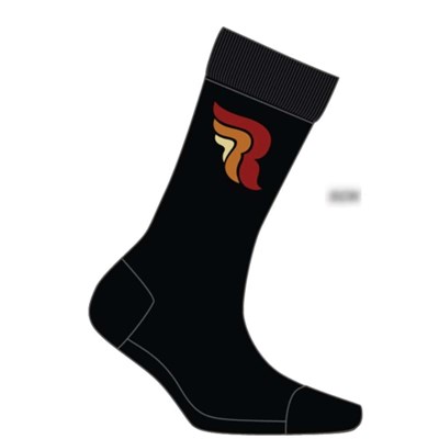 Bild von Logo Socks unisex