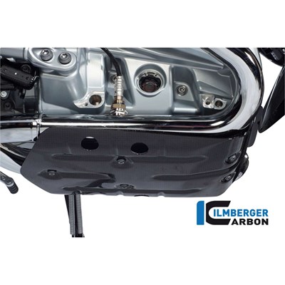 Bild von Motorschutz unten