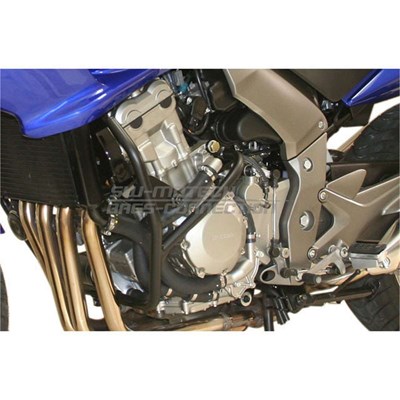 Bild von Motorschutzbügel