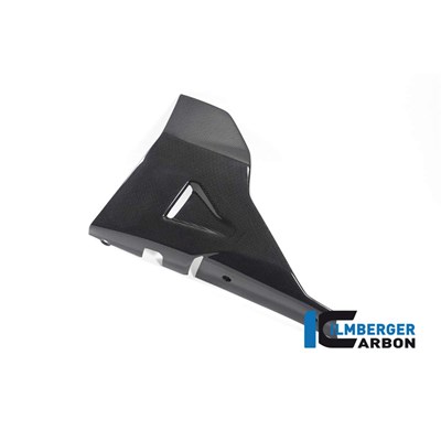 Bild von Motorspoiler links glanz