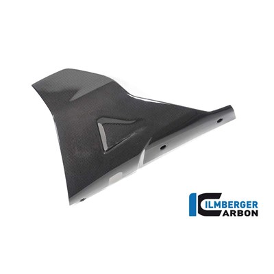 Bild von Motorspoiler links glanz