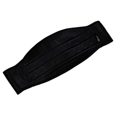 Bild von Nierengurt PureBoxer