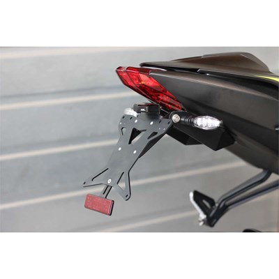 Bild von Nummernhalter Triumph