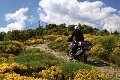 Bild von Scheibe »ERGO«