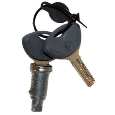 Bild von Schliesszylinder mit Schlüssel