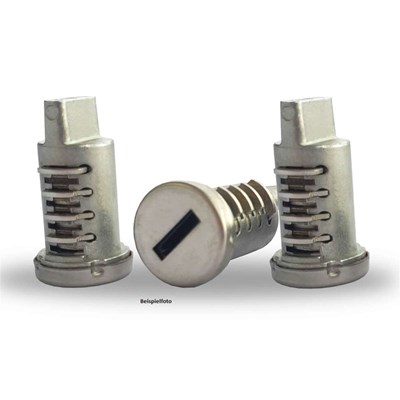 Bild von Schliesszylinder nach Fahrgest