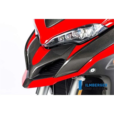 Bild von Schnabel vorne glanz