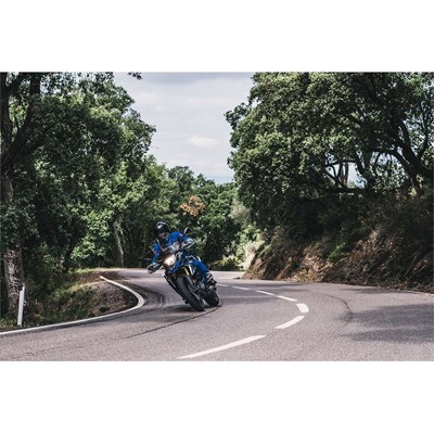 Bild von Schutzpad Hinterrad G 310