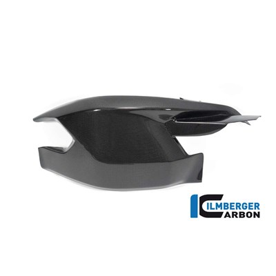 Bild von Schwingenabdeckung / Kettenschutz oben glanz