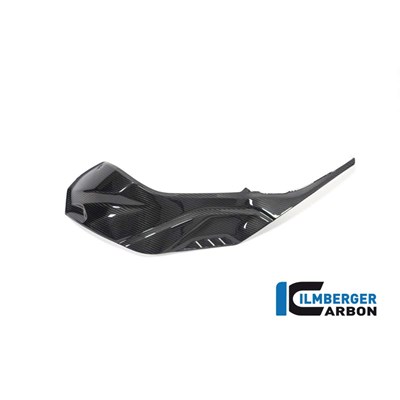 Bild von Seitendeckel links am Tank