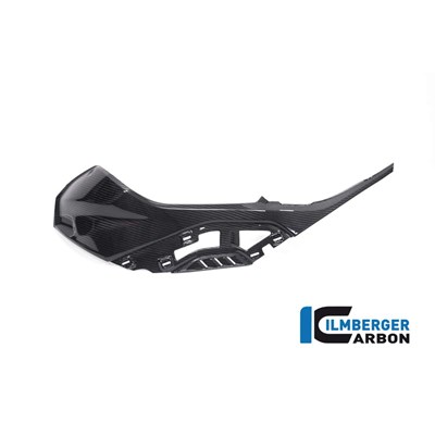 Bild von Seitendeckel links am Tank