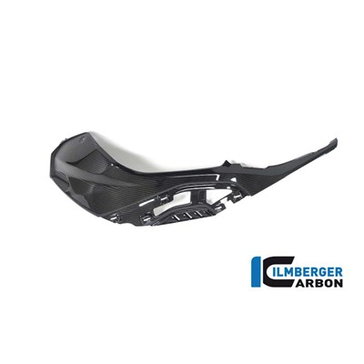 Bild von Seitendeckel links am Tank