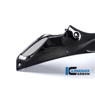 Bild von Seitendeckel links am Tank