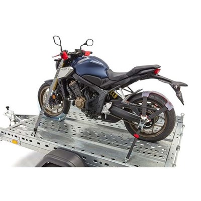 Bild von Spanngurten Buckle-Up