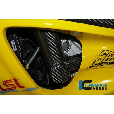 Bild von Sturzpad am Rahmen links