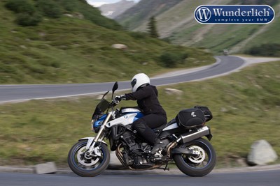 Bild von Vario-Gelenk »EVO1« Fahrer (Paar)