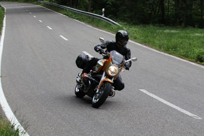 Bild von Verkleidung Classic-Trophy