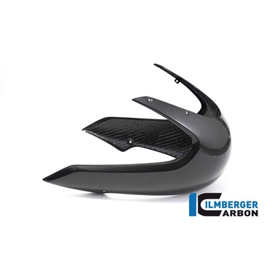 Bild von Verkleidung Racing